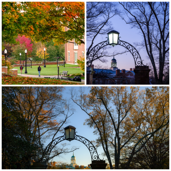 Review Wake forest university image 239472