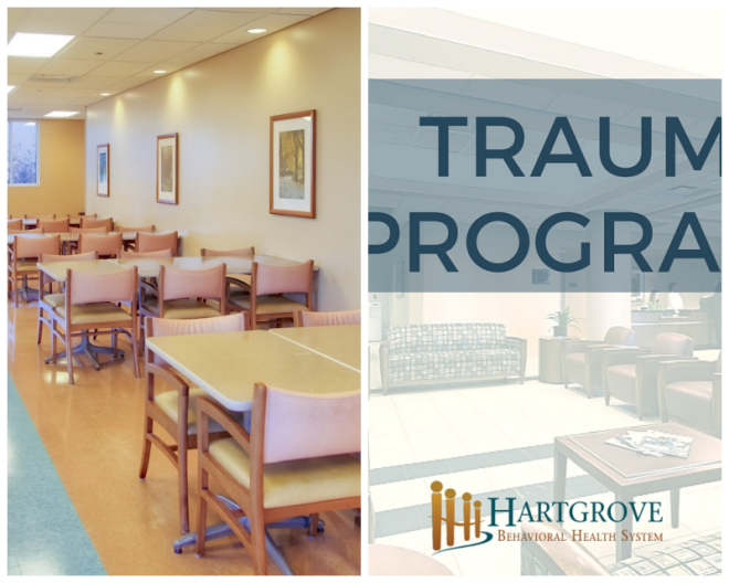 Review Hartgrove behavioral health system image 244040
