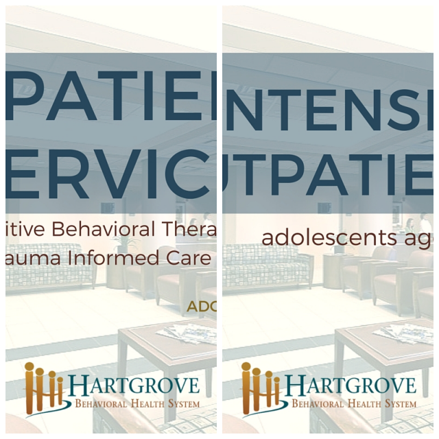 Review Hartgrove behavioral health system image 244042
