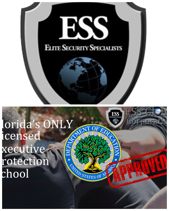 Review ESS Global Corp image 220033