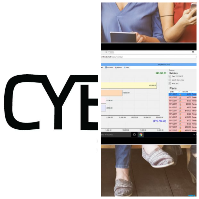 Review Cybele Software, Inc. image 136192