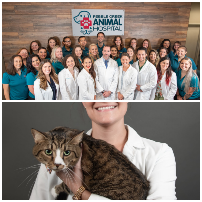 Review Pebble creek animal hospital image 335042