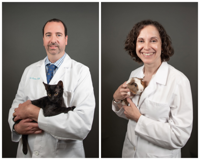 Review Pebble creek animal hospital image 335045