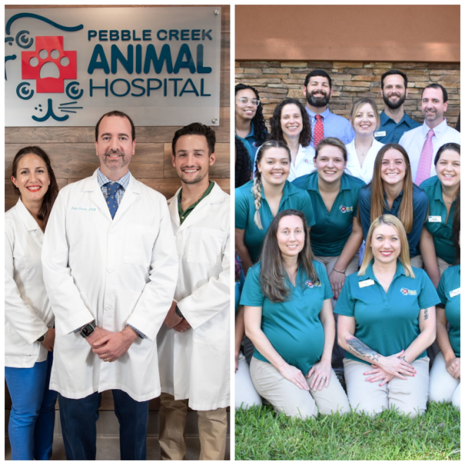 Review Pebble creek animal hospital image 335046