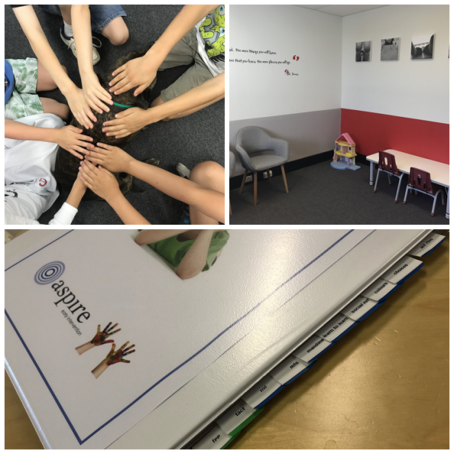 Review Aspire Early Intervention image 163213