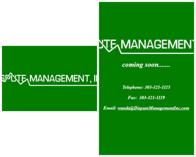Review Dispute Management, Inc image 223685