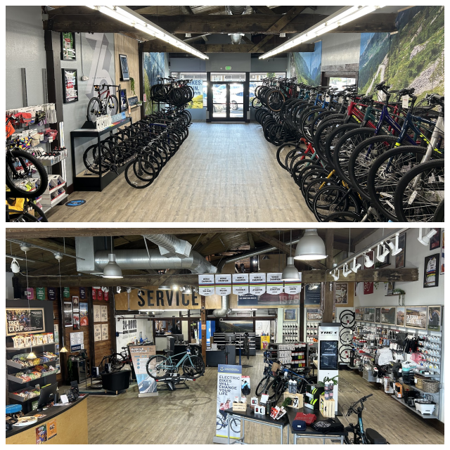 Review Eden bicycles image 278549