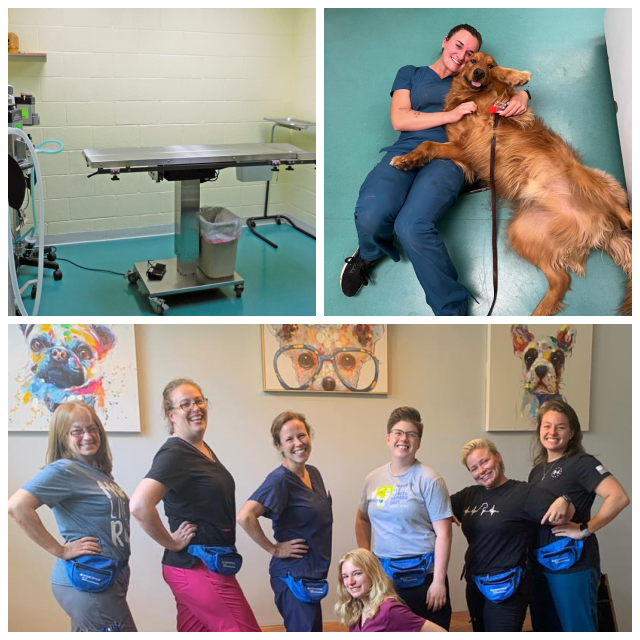 Review Spotsylvania animal hospital image 311826