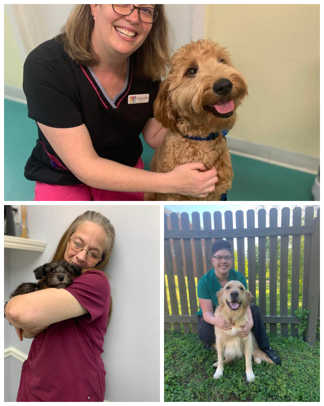 Review Spotsylvania animal hospital image 311828