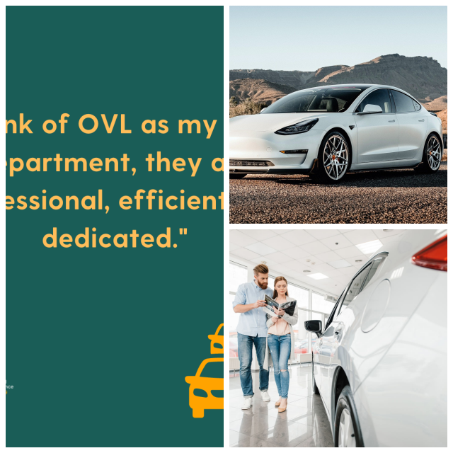Review OVL Group Ltd image 229122