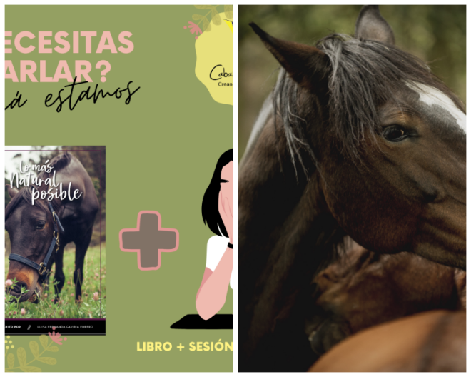 Review Caballos Formadores image 53366