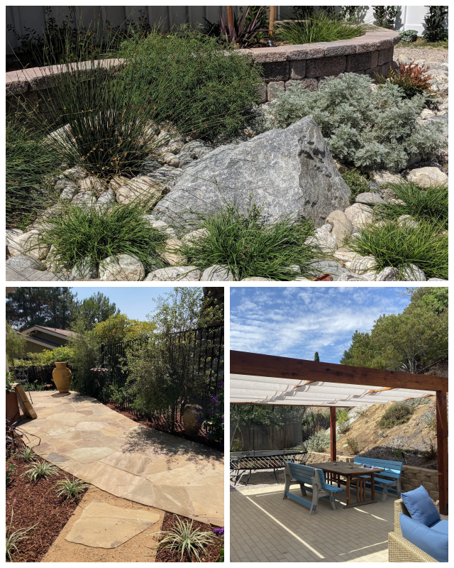 Review Juniper landscape company image 306364
