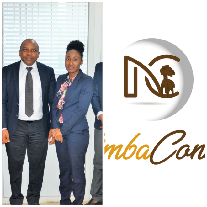 Review Nimba Conseil image 215777