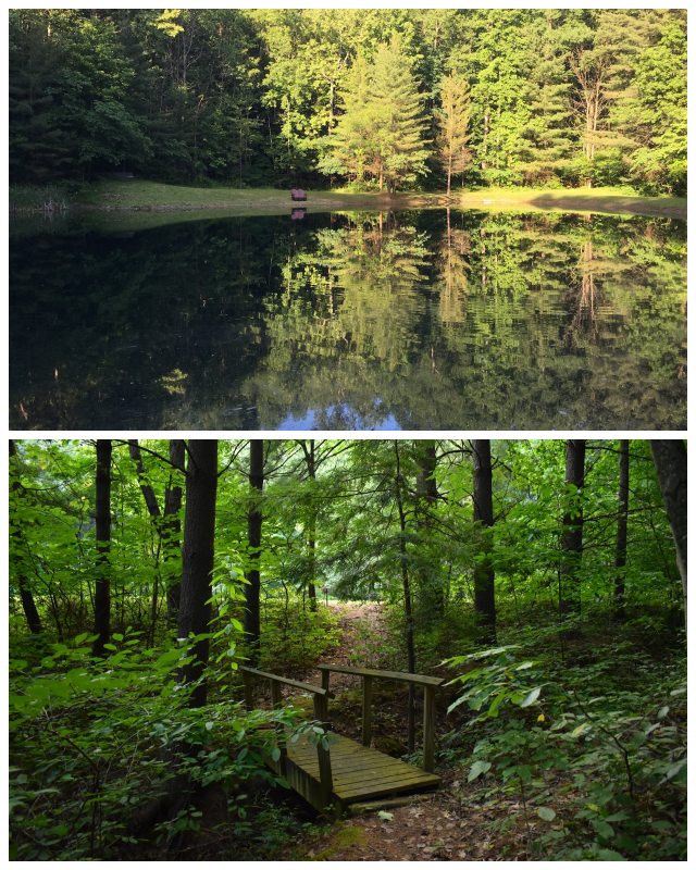 Review Hocking Hills Frontier Log Cabins image 134294