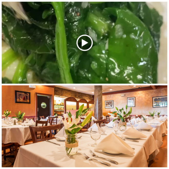 Review Piccolo's Trattoria image 37298