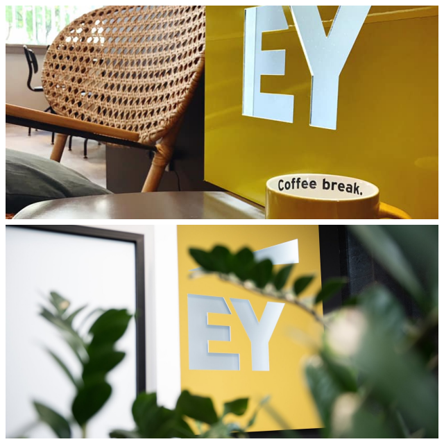 Review Ernst & Young Beograd d.o.o image 219014