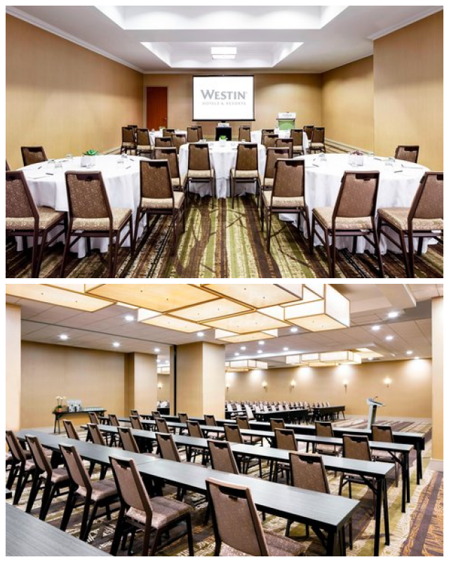 Review The Westin Michigan Avenue image 208954