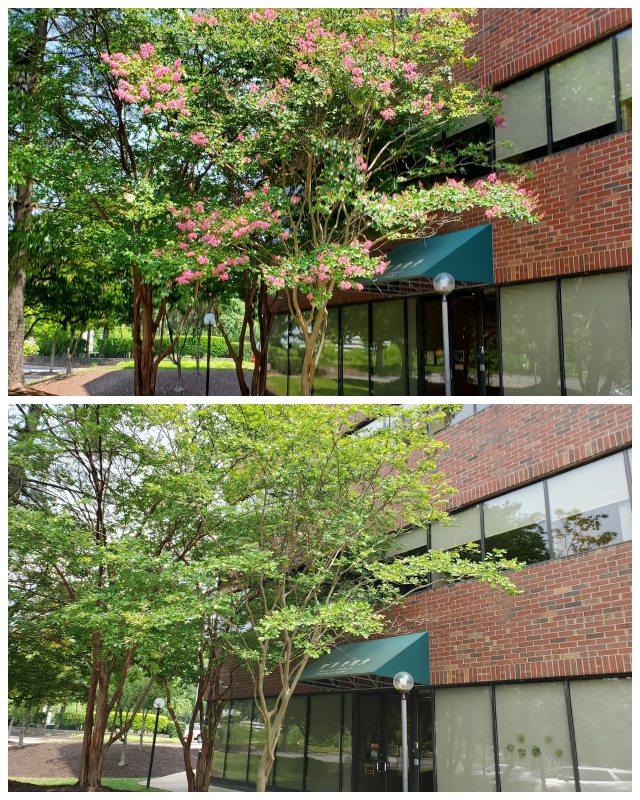 Review Robert E Simon Jr children's center image 64666