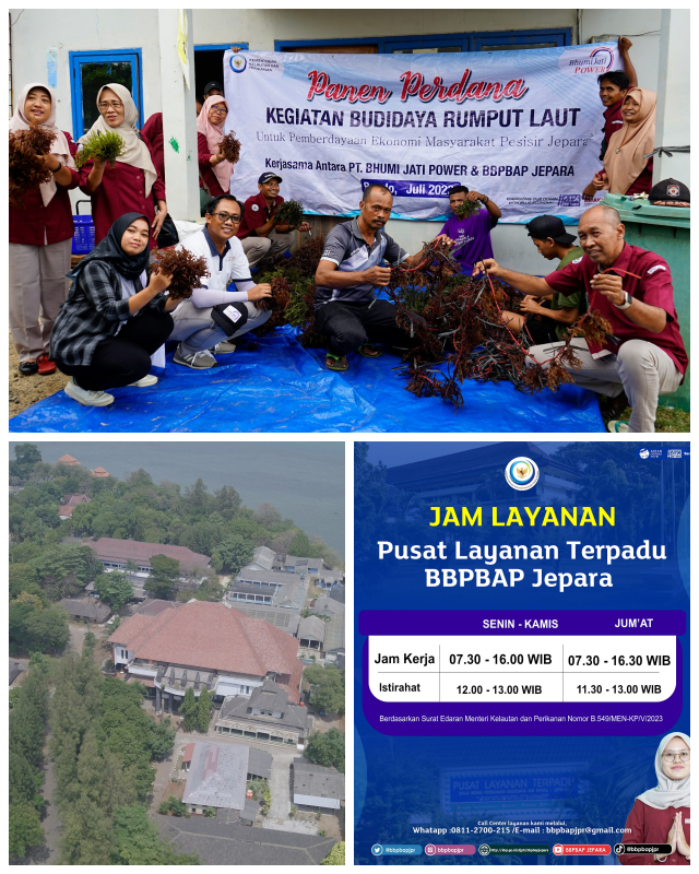 Review Balai Besar Pengembangan Budidaya Air Payau Jepara image 111126