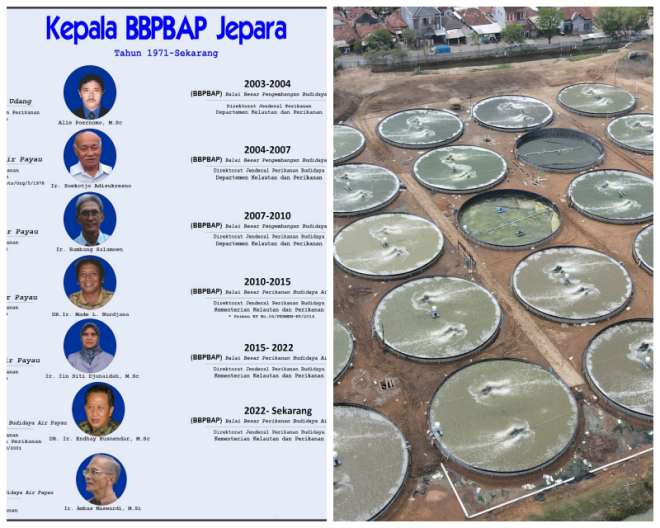 Review Balai Besar Pengembangan Budidaya Air Payau Jepara image 111128
