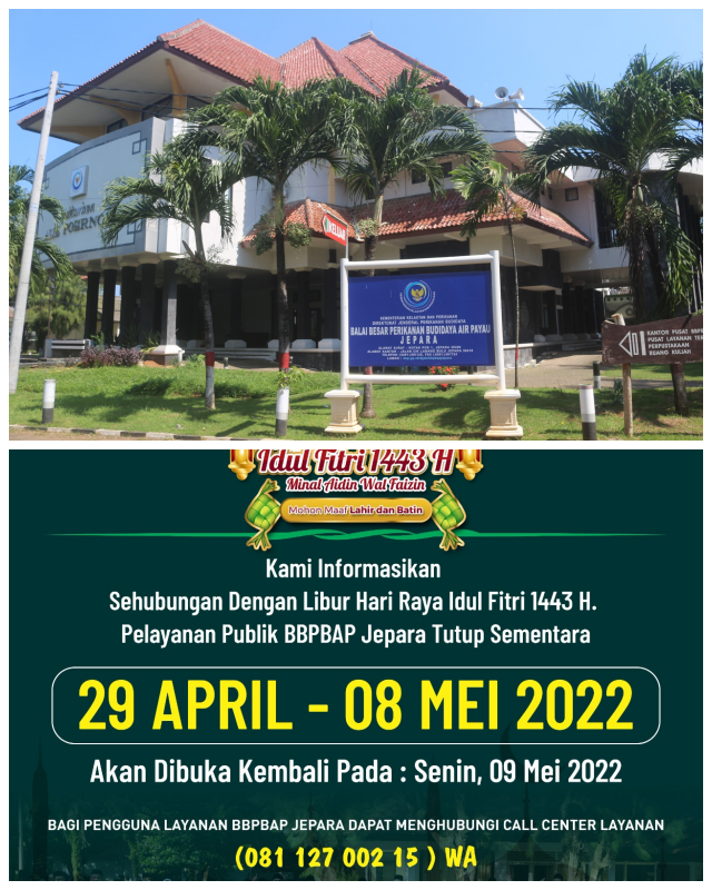 Review Balai Besar Pengembangan Budidaya Air Payau Jepara image 111129