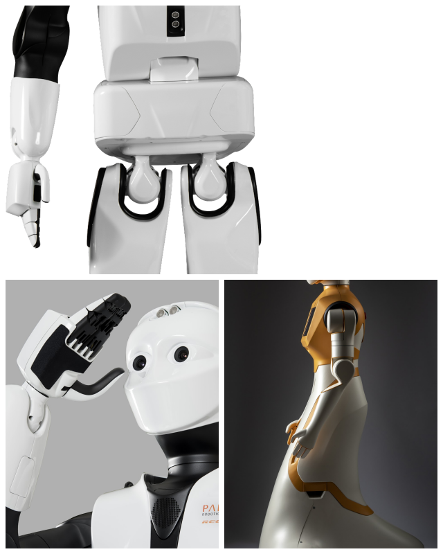 Review Pal Robotics image 214453