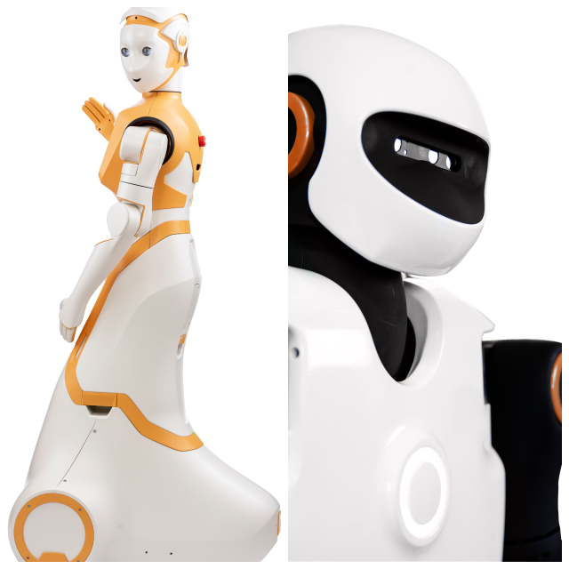 Review Pal Robotics image 214454