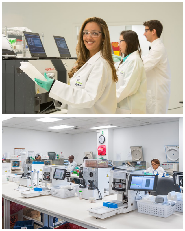 Review Cell science systems image 265906