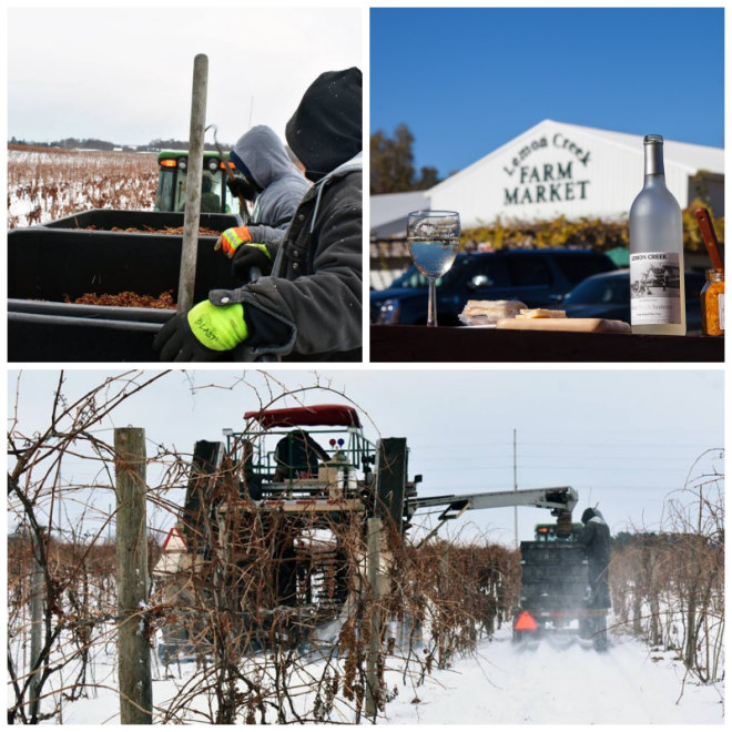 Review Lemon creek fruit farm vineyard and winery image 312284
