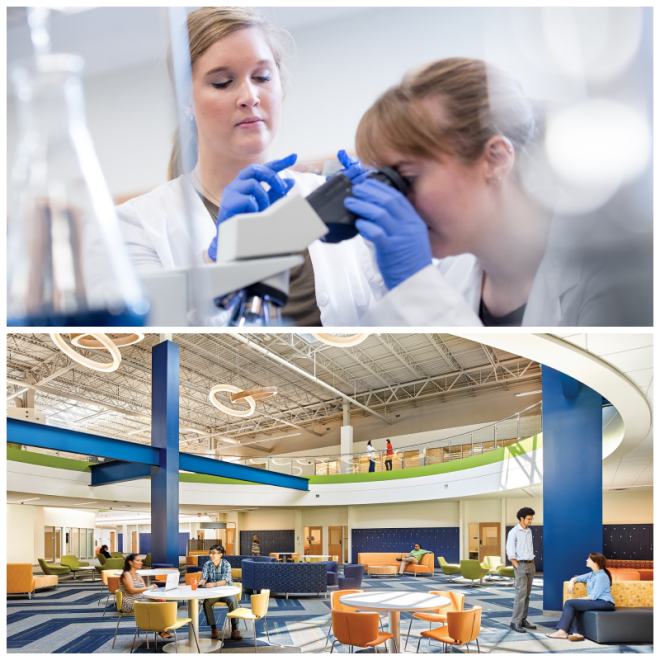 Review Pennsylvania college of health sciences image 245332