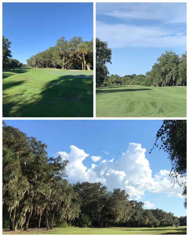 Review Misty creek country club image 322255