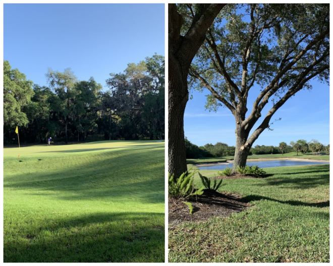 Review Misty creek country club image 322256