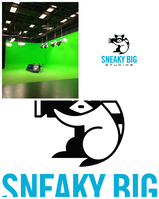 Review Sneaky Big Studios, LLC image 34678