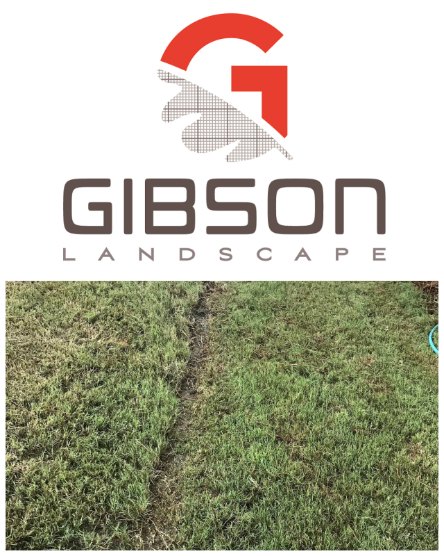 Review Gibson Landscape Services image 64393