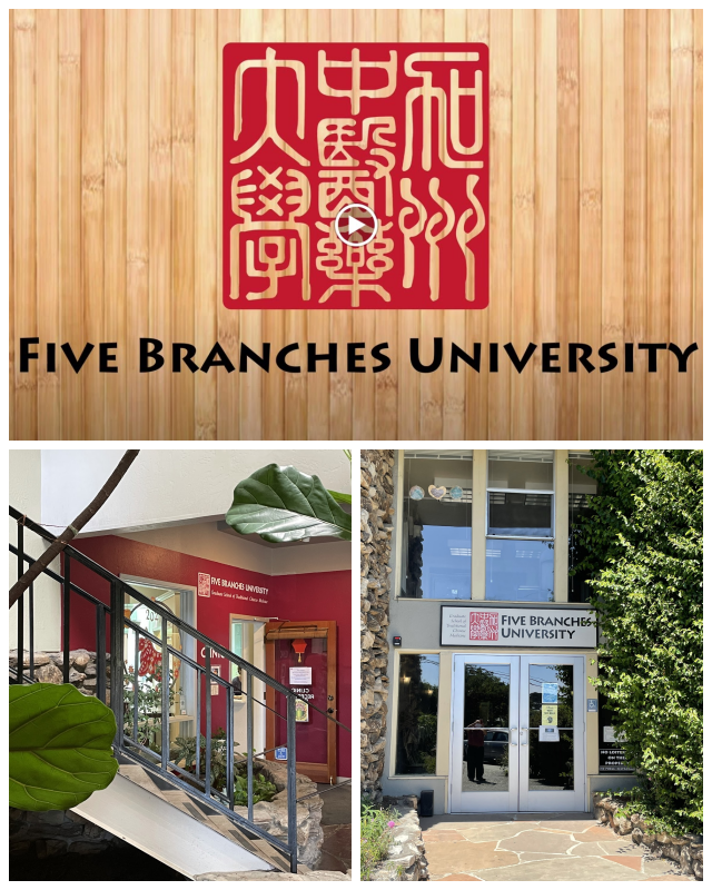 Review Five branches university image 268745