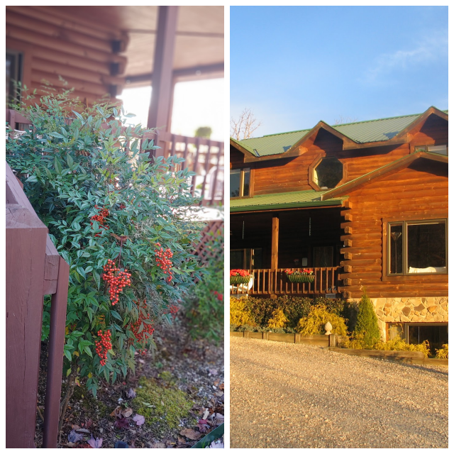 Review Iron mountain inn b&b and vacation rentals image 324079