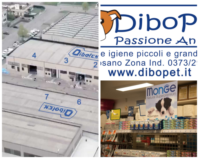 Review Dibotek S.p.A. image 95417