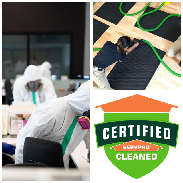 Review Servpro of san luis obispo image 352755