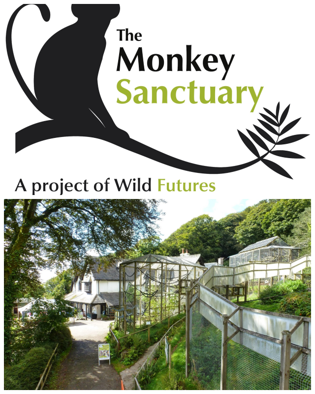 Review Wild Futures image 97460
