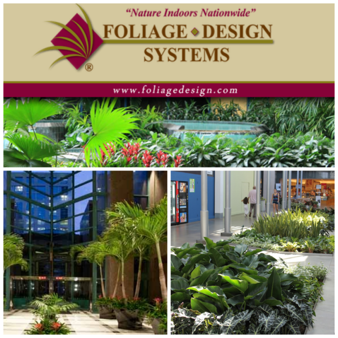 Review Foliade Design Systems, Chicago image 122976