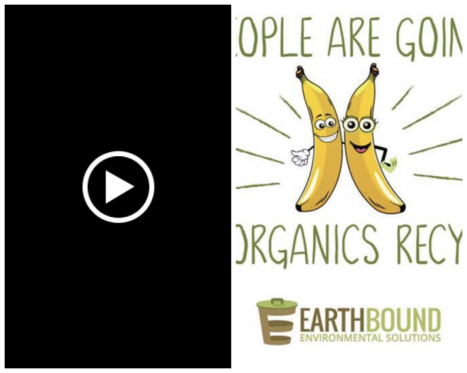 Review Earthbound Environmental image 13712