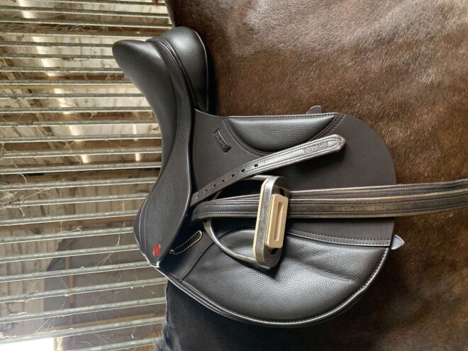 Review David dyer saddles image 359915