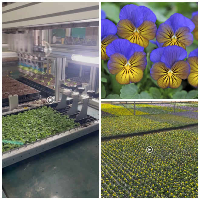 Review Quail hollow nurseries inc image 341836