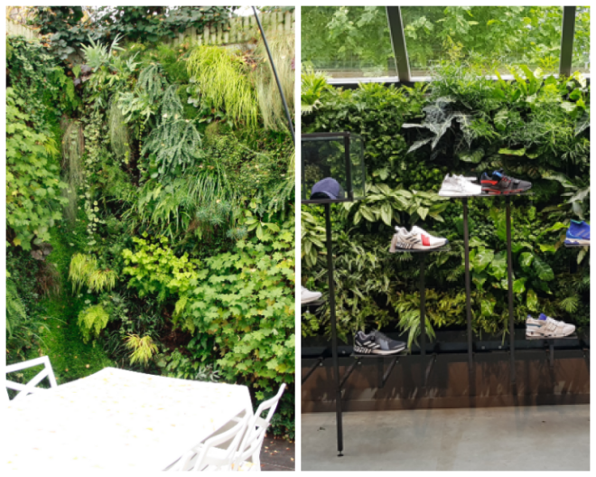 Review Paps Vertical Gardens image 195286