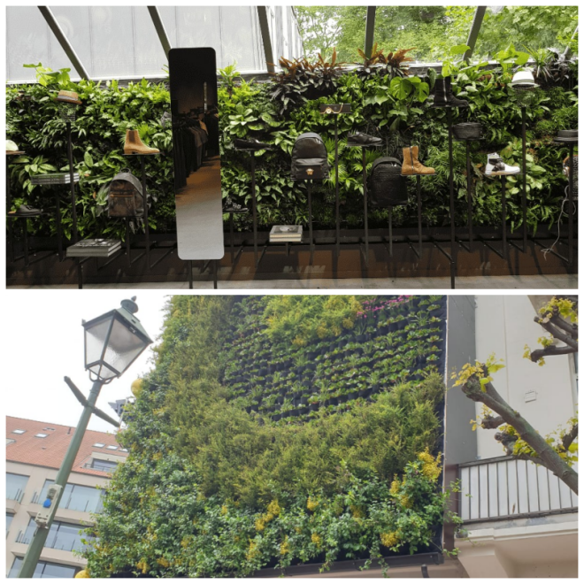 Review Paps Vertical Gardens image 195287