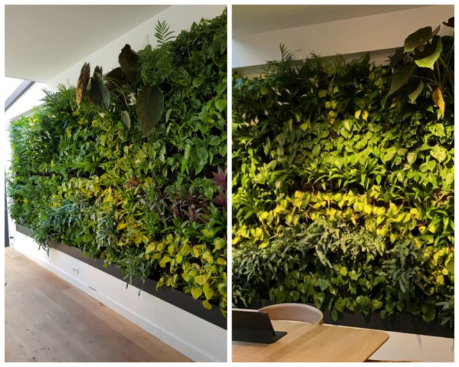 Review Paps Vertical Gardens image 195288