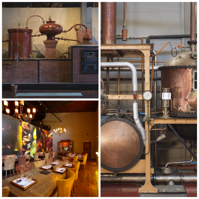 Review Van Ryn's Brandy Cellar and Distillery image 113833