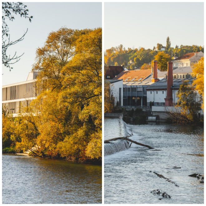 Review Fachhochschule Steyr image 73606
