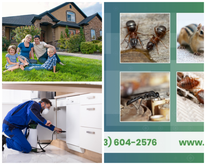 Review Trius Pest Management image 74676
