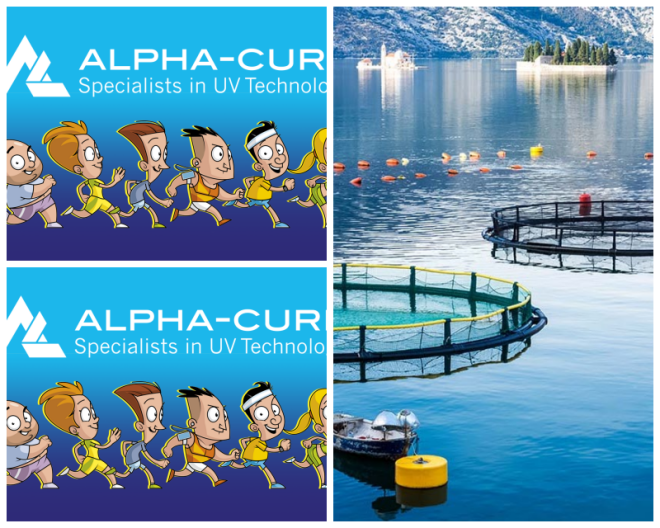 Review Alpha-Cure image 67363